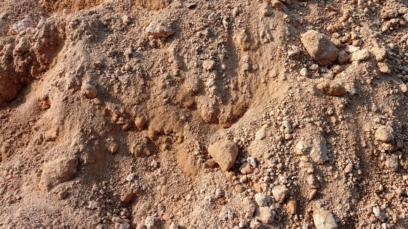 Kayalık toprağınızın bahçenizin gelişmesine yardımcı olmak için gereken basit düzeltme