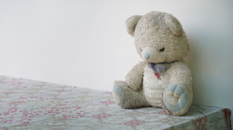 Kirli doldurulmuş ayı