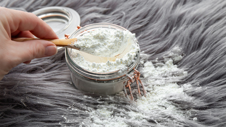 Mısır nişastalı halı üzerine serpilir