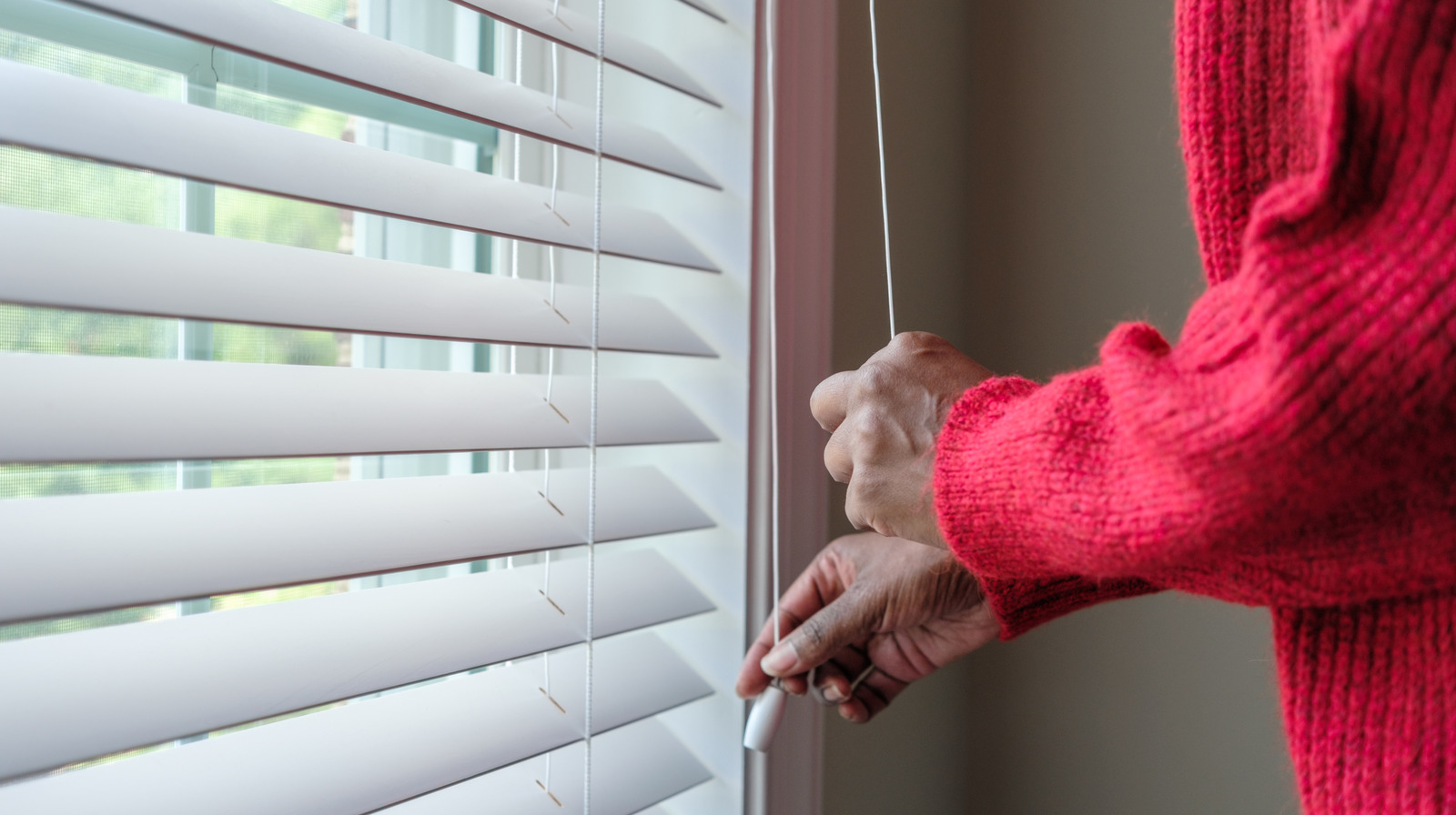 Dollar Tree Beauty Wing Pencere Gölgelerinizi Tozdan Çıkaracak Temel Hack Toz Free