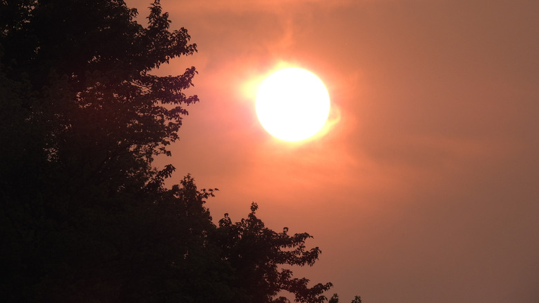 Smoky Sky'da Delaware'de Güneş Ayarı