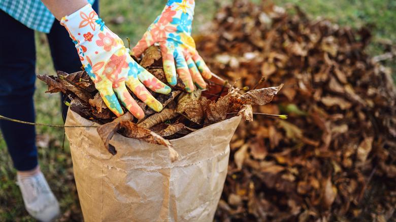 Kağıt bahçeye yaprak yerleştiren kadın