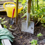 Yükseltilmiş bahçe yataklarınızın daha iyi drenaj ve sağlıklı toprak için ihtiyaç duyduğu basit ekleme