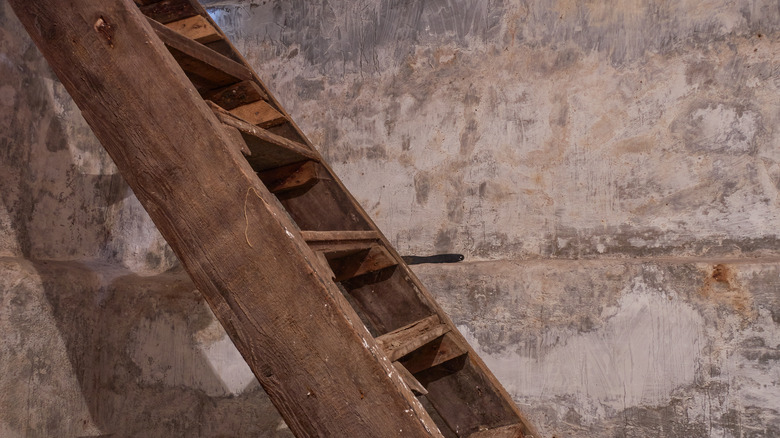 Dank bodrum katında çürüyen ahşap bir merdiven