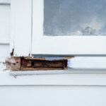 Onarılmadan önce ne tür ahşap çürümesine sahip olduğunuzu nasıl tanımlayabilirsiniz (ve neden önemlidir)