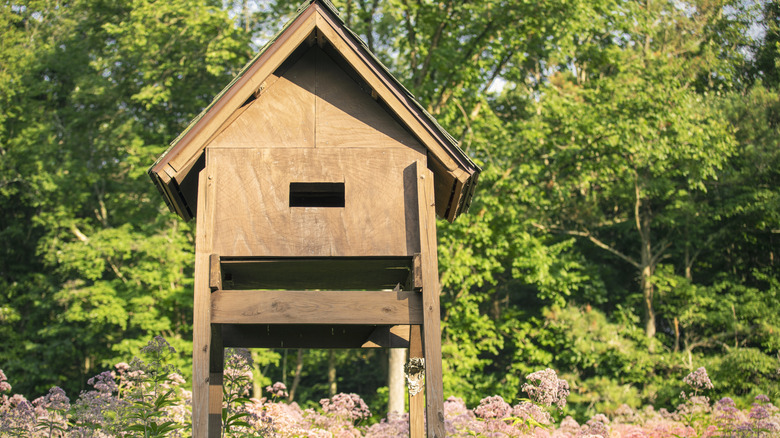 Bir kır çiçeği alanında büyük açık kahverengi yarasa evi
