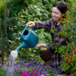 Bahçenizi zahmetsizce kalıcı çiçeklerle dolduracak göz kamaştırıcı mor bitki