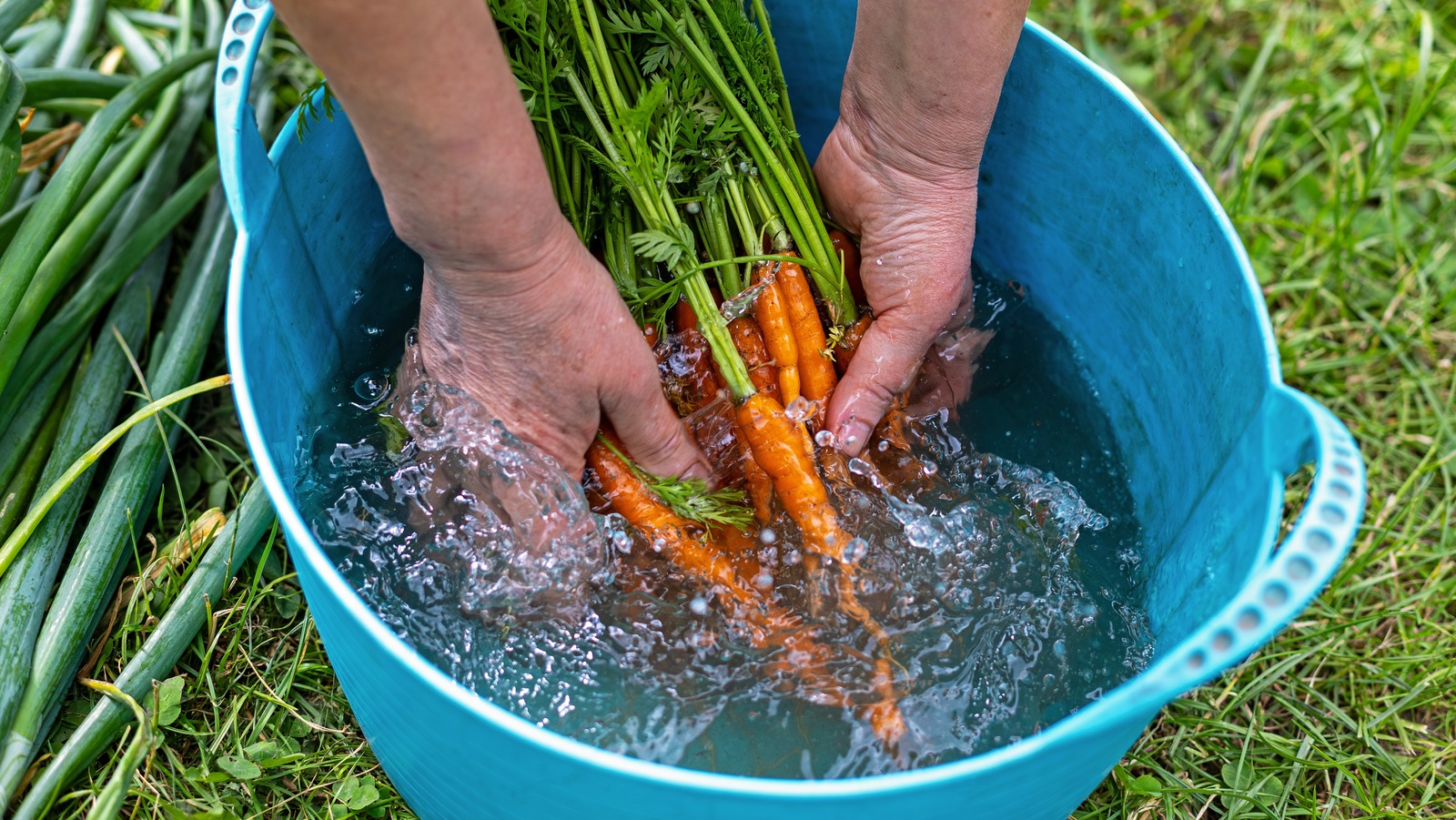 Ürünü bahçenizden yıkarken sirkeyi terk edin ve bunun yerine bunu deneyin