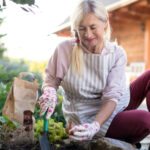 Göz kamaştırıcı sonbahar çiçekleri için Ağustos ayında ekmeniz gereken büyümesi kolay çiçek ampulü