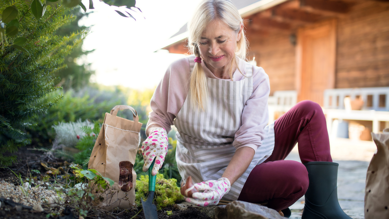 Göz kamaştırıcı sonbahar çiçekleri için Ağustos ayında ekmeniz gereken büyümesi kolay çiçek ampulü