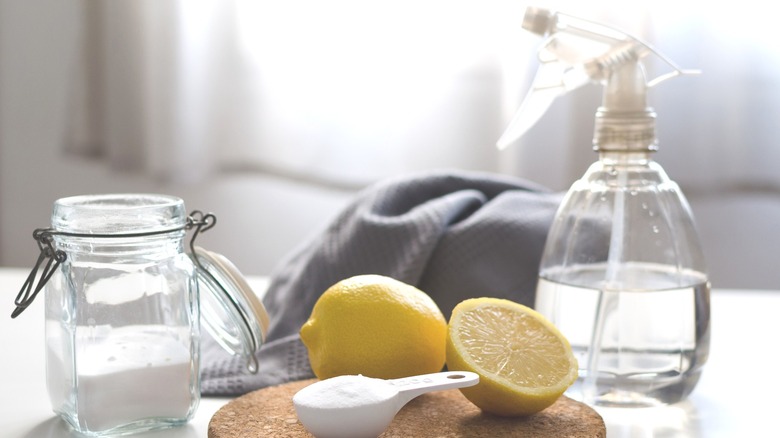 Temizlik için doğal malzemelerin toplanması