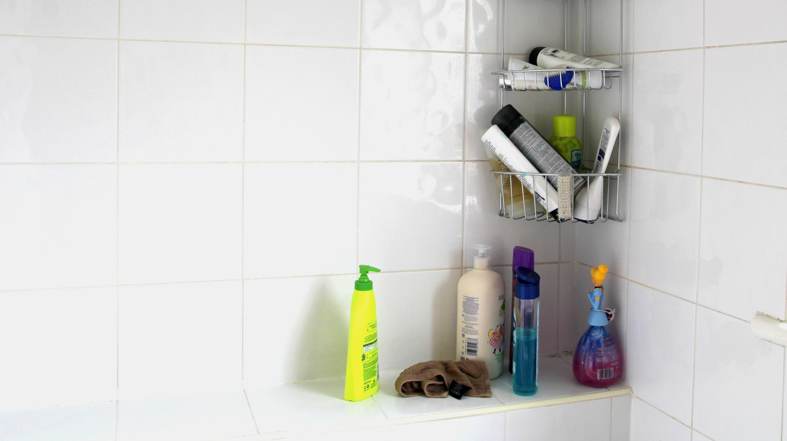 Duşunuza anında çok ihtiyaç duyulan depolama ekleyen dolar ağacı hack