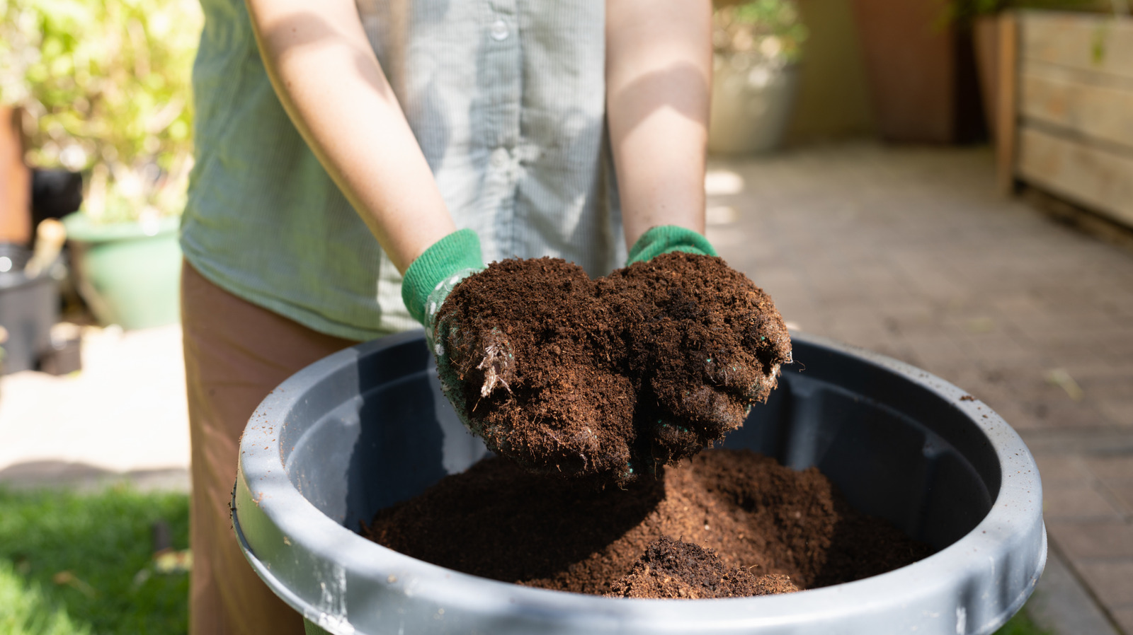 Eski saksı toprağına yeni bir hayat veren basit DIY