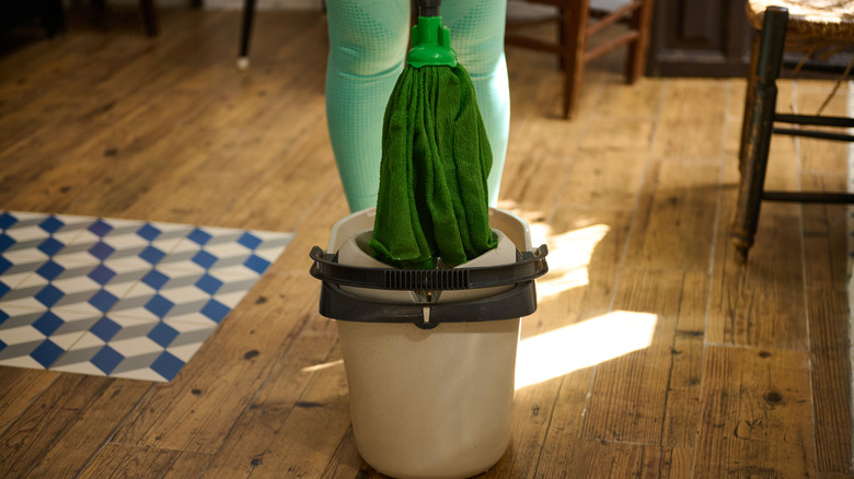 Bir kişi bir kovanın arkasında durur ve ahşap bir zeminde paspas