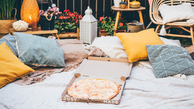 açık battaniye üzerine yayılmış yastıklar