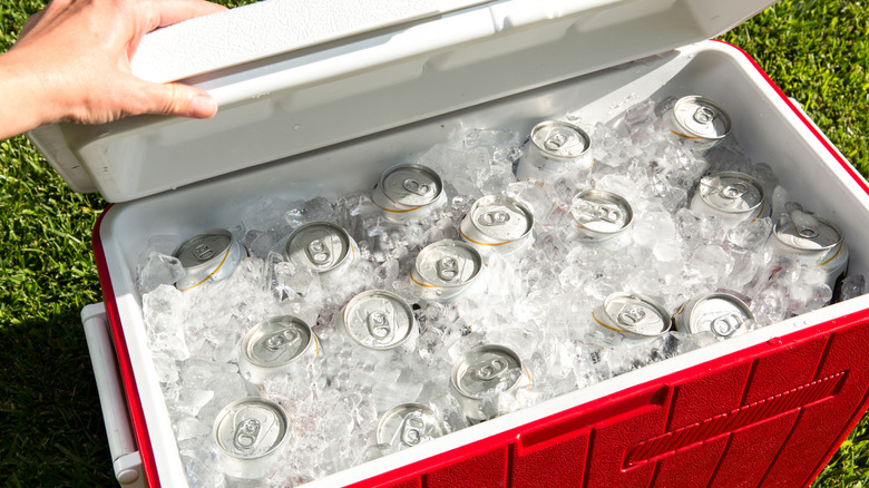 Buz ve kutularla dolu bir soğutucu