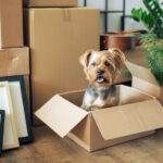 18 Depolama Çözümleri Daha organize bir ev için karton kutulardan DIY yapabilirsiniz