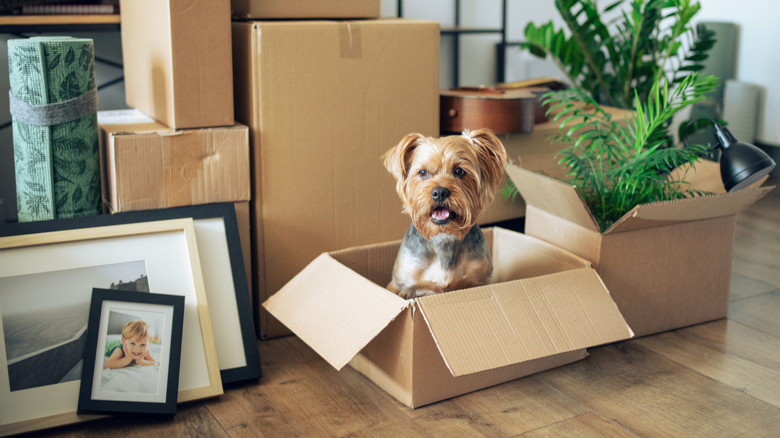 18 Depolama Çözümleri Daha organize bir ev için karton kutulardan DIY yapabilirsiniz