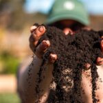 Bahçenizin toprak rengi gerçekte ne anlama geliyor ve neden önemli