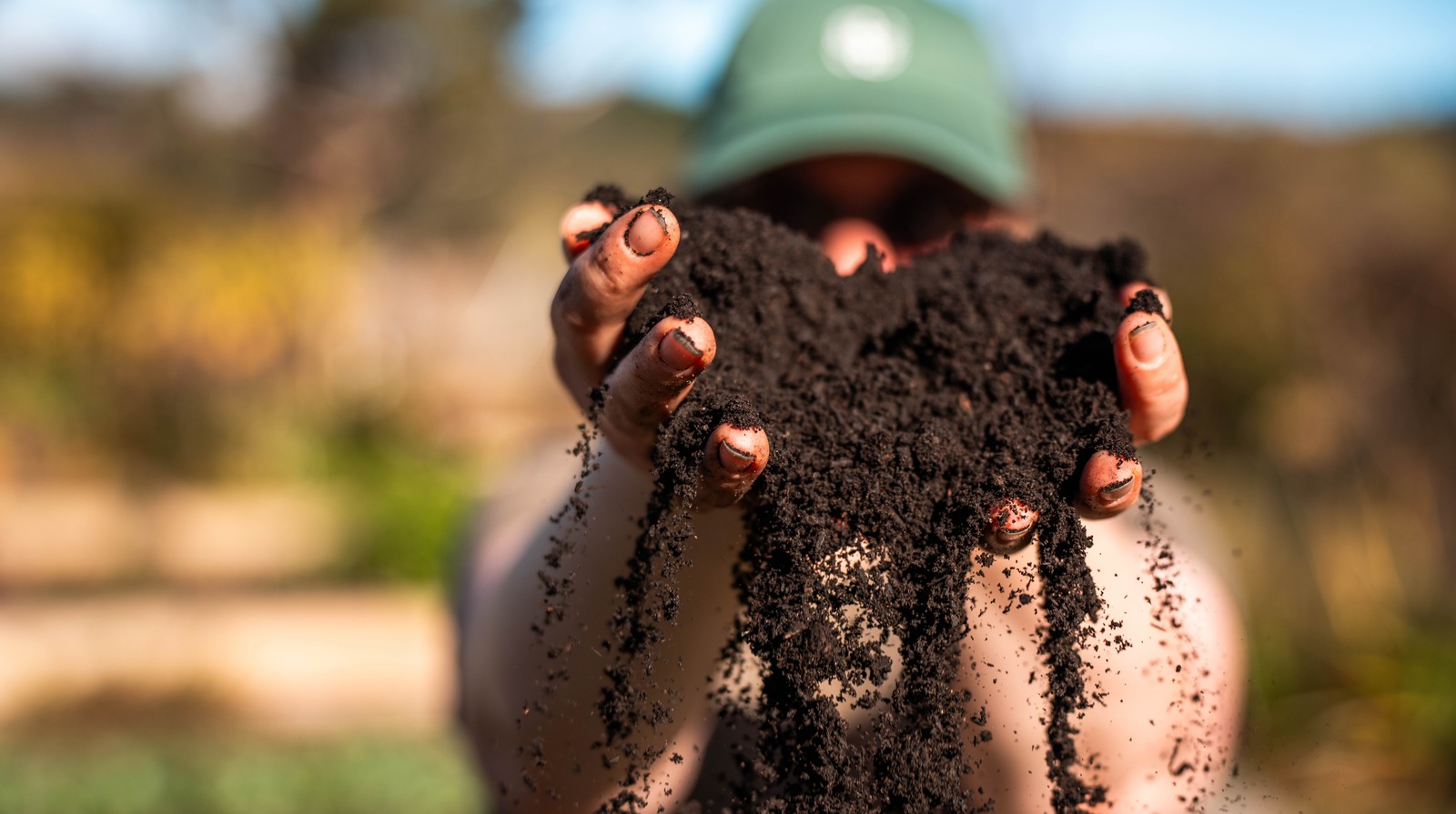 Bahçenizin toprak rengi gerçekte ne anlama geliyor ve neden önemli