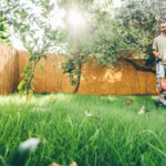 Çimlerinizin çok kötü kokmasının korkutucu nedeni (ve nasıl düzeltileceğiniz)