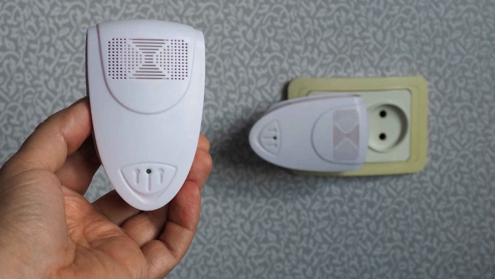 Büyük ultra sonik haşere kontrolü aşağı yönde düşünmüyorsun