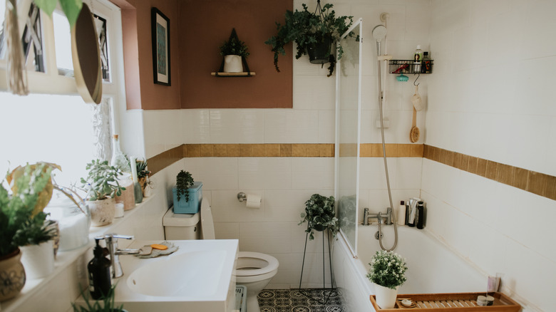Dünyevi nötr ve asılı bitkiler ile banyo
