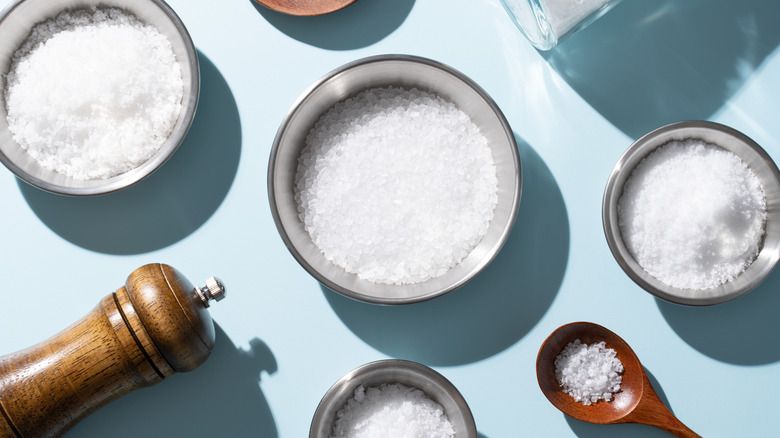 Yan tarafta bir biber öğütücü ile küçük kaselerde gösterilen çeşitli tuz türleri