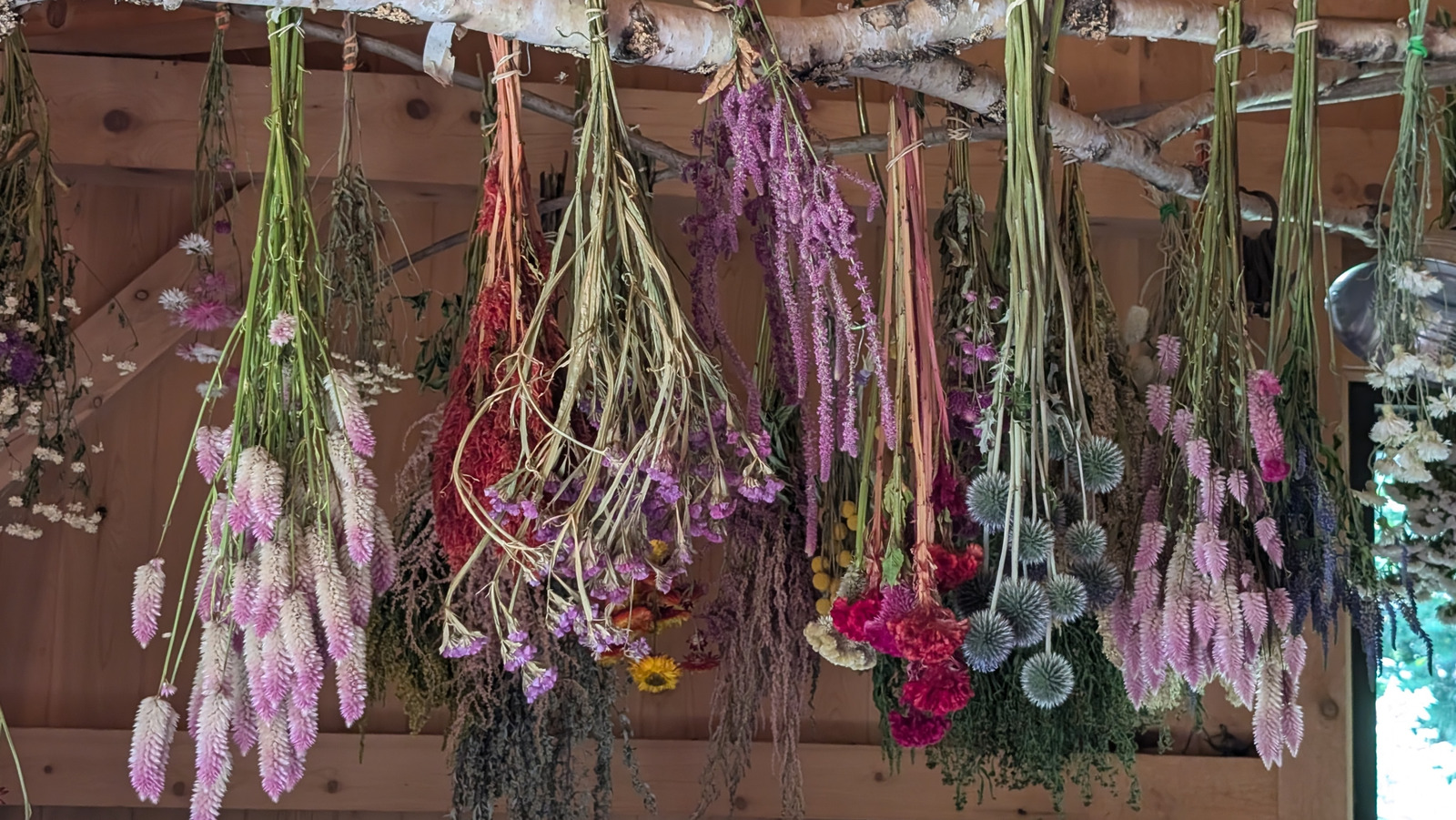 Karıncalar evinizi ele geçiriyor mu? Kurutulmuş çiçek dekorunuz suçlu olabilir