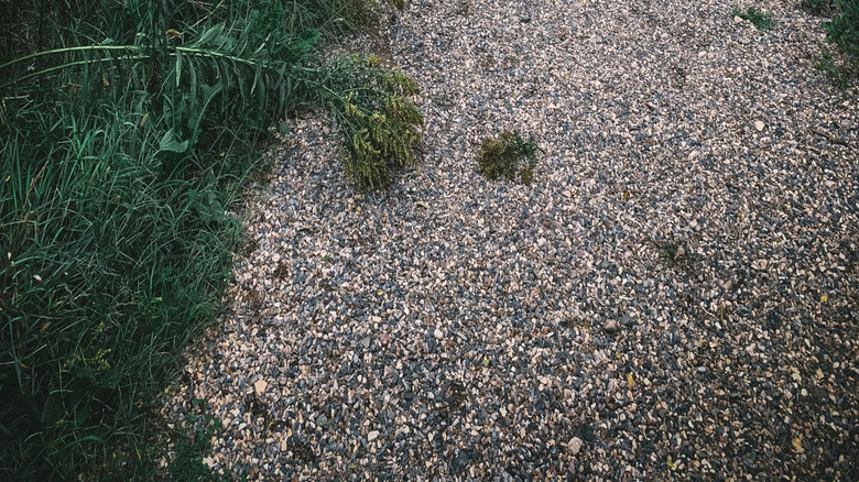 Bezelye Çakıl Yolu