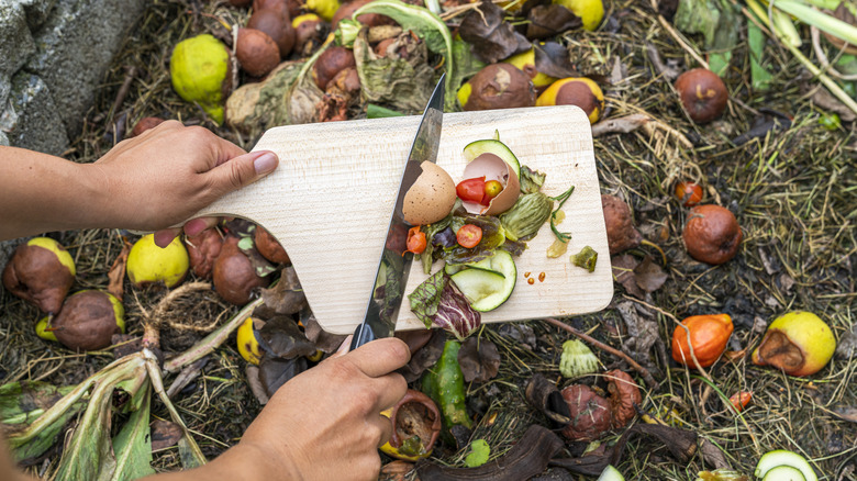 El tutma bıçağı kazıma yumurta kabukları ve sebze kabukları kesme tahtası kompost yığınına