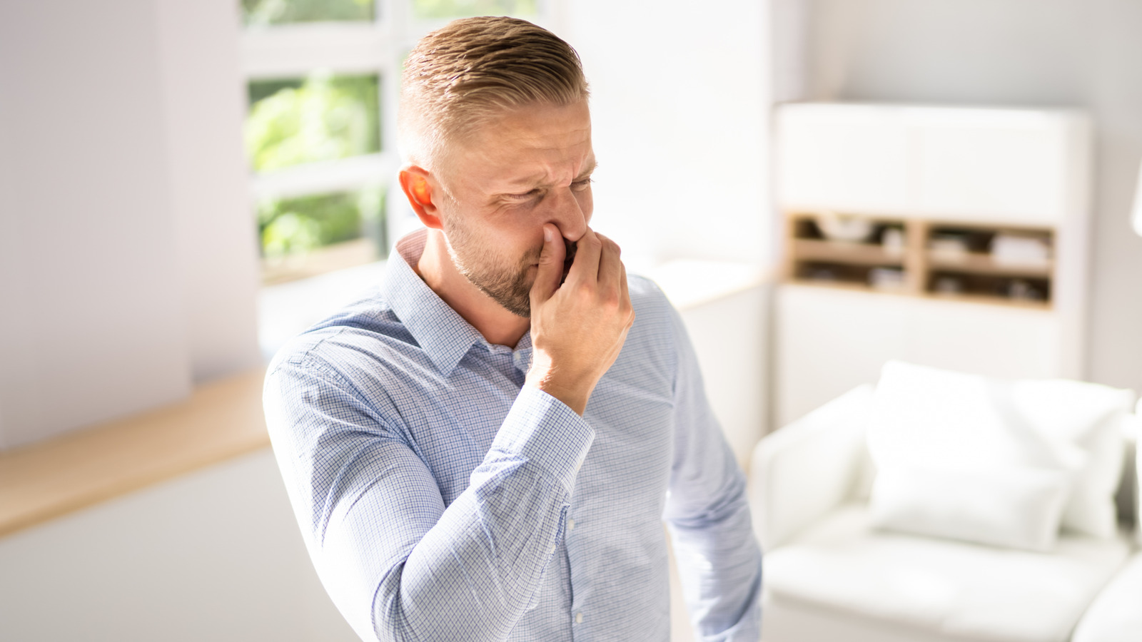 Evinizdeki balık kokusu büyük bir kırmızı bayrak olabilir: ne yapmalı