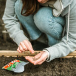 Tohumlama kareleri gerçekten almaya değer mi?