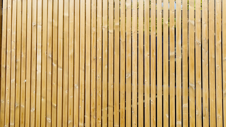 Palmiye ağaçlarının ötesinde bir çitin tepesi