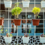 Hayalinizdeki Herb bahçesini inşa etmek için delicesine uygun fiyatlı kovalar kullanın