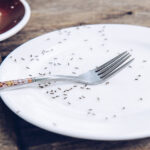 Bu DIY karınca tuzağı düşündüğünüz kadar etkili değildir. İşte nedeni