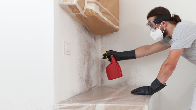 Kalıplı bir duvara kırmızı sprey şişesi püskürtüyor