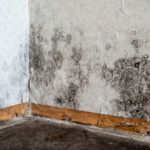 Zaten sahip olduğunuz bir malzemeyi kullanarak bir bodrum selinden sonra kalıptan nasıl kurtulur