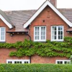 Bu hızlı büyüyen çit size yemyeşil, cilalı bir görünümle gizlilik sağlar