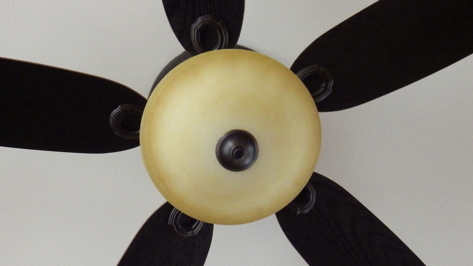 Beklenmedik bir avlu DIY için bir tavan küresi tasarruf