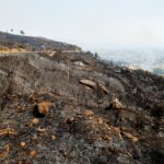 Avrupa'da binlerce yerinden edildikçe İspanya üçüncü orman yangını ölümü yaşıyor