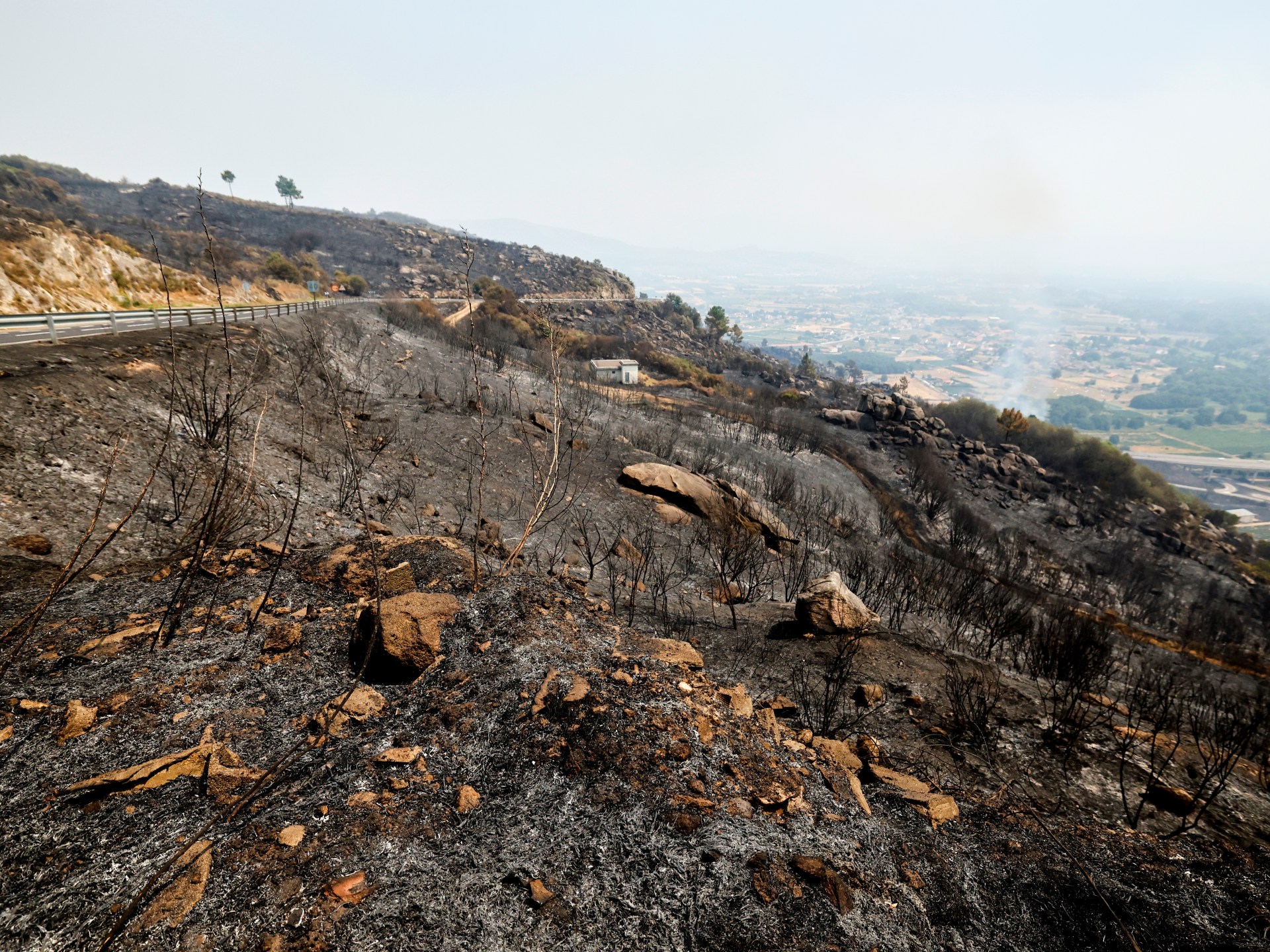 Avrupa'da binlerce yerinden edildikçe İspanya üçüncü orman yangını ölümü yaşıyor