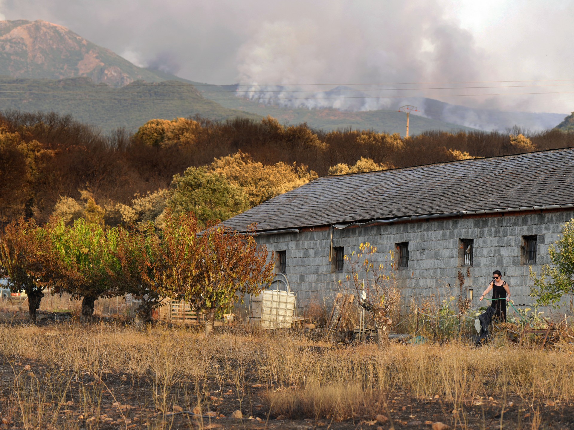 İspanya'daki orman yangınları binlerce kaçmaya zorlandığı için bir kişiyi öldür