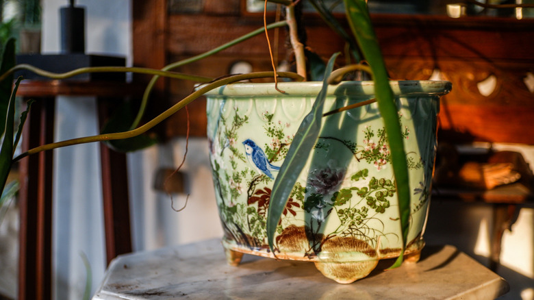 masada vintage çiçek ekici