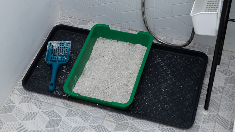 Banyoda siyah bir tepsi üzerinde yeşil bir çöp kutusu.