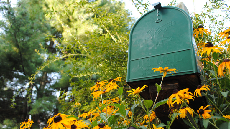Sarı çiçeklerle çevrili yeşil posta kutusu