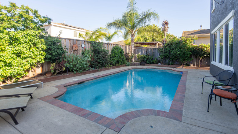 Çit ve gizlilik ağaçları ve çalıları olan bir arka bahçe havuzu.