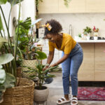 Öldürmek neredeyse imkansız olan çok yıllık ev bitkisi (yeşil başparmak gerekmez)