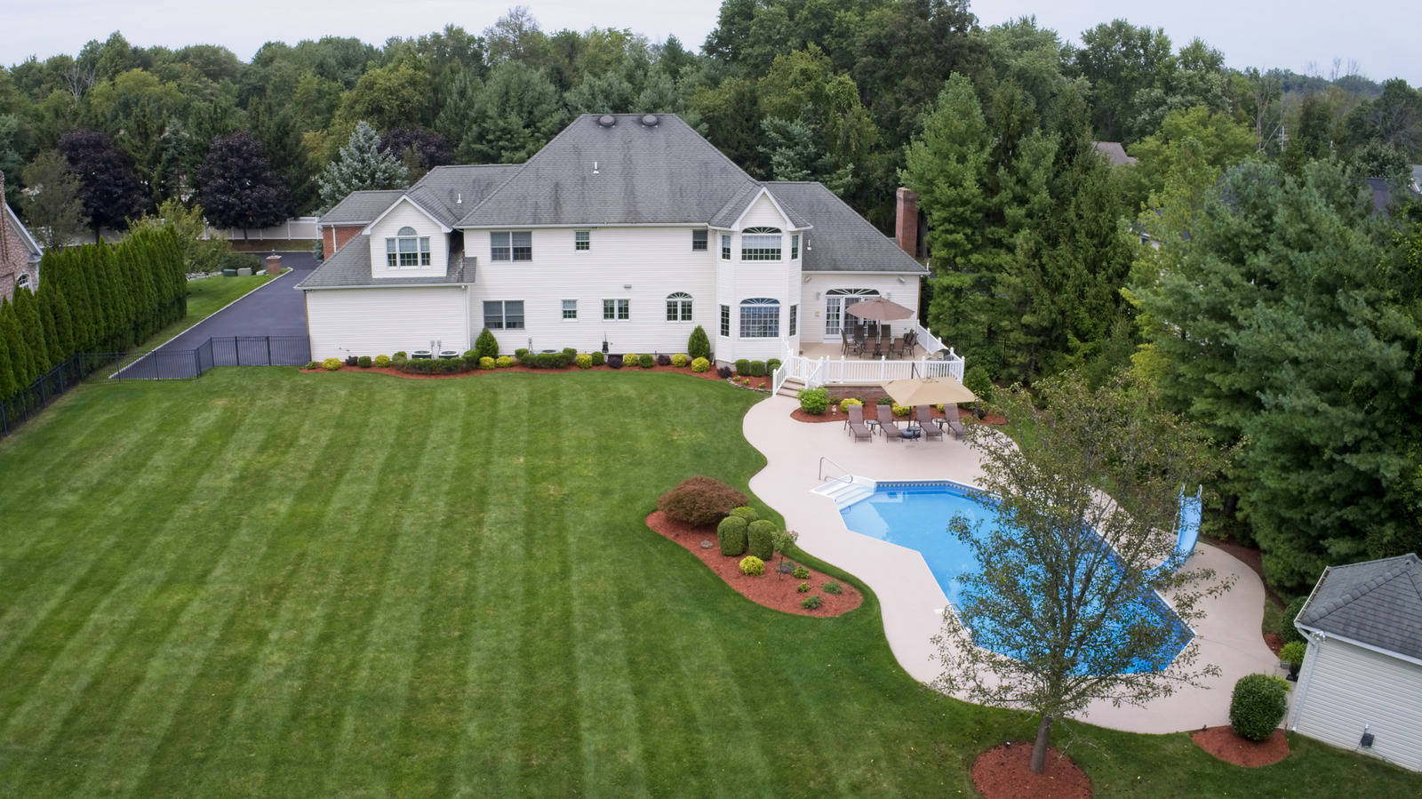 Bu en yumuşak çim çeşididir, ancak bakıma değer mi?