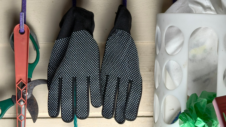 Makas, eldiven ve plastik torbalar gibi bahçe aletleri bir duvara asıldı